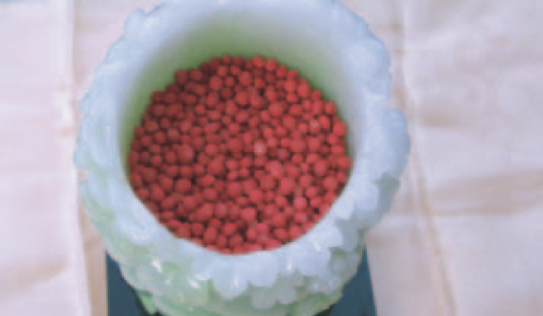 頂聖如來H.H.第三世多杰羌佛的聖量 眾多實例之二